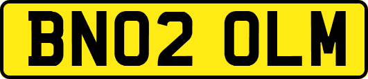 BN02OLM