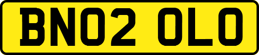 BN02OLO