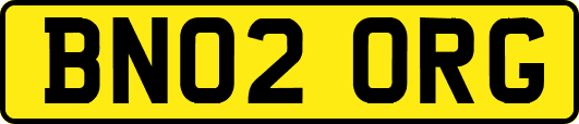 BN02ORG
