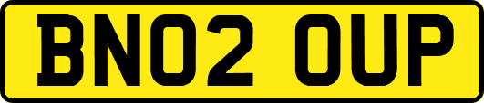 BN02OUP