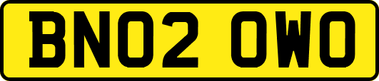 BN02OWO