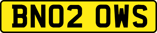 BN02OWS