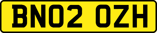 BN02OZH