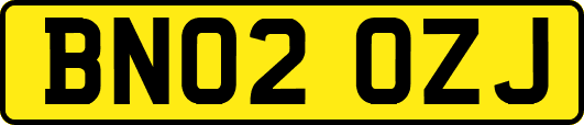 BN02OZJ