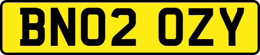BN02OZY