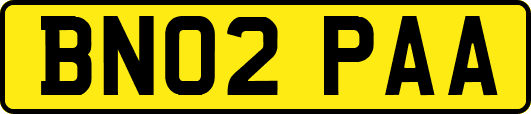 BN02PAA