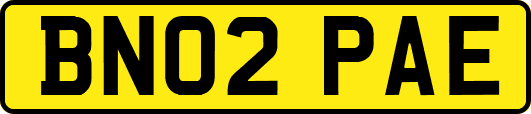 BN02PAE