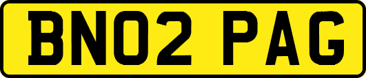 BN02PAG