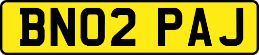 BN02PAJ