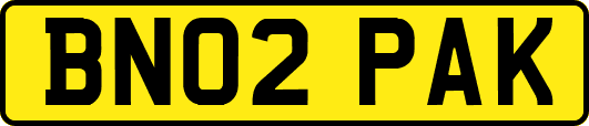 BN02PAK