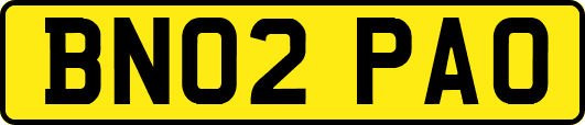 BN02PAO