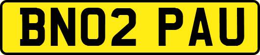 BN02PAU
