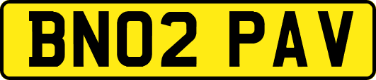 BN02PAV