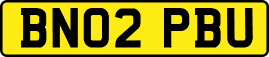 BN02PBU