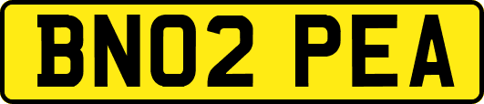 BN02PEA
