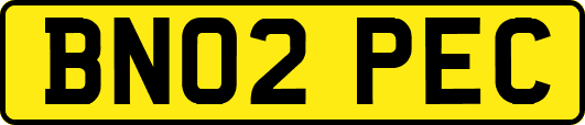 BN02PEC