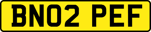 BN02PEF