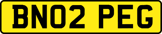 BN02PEG