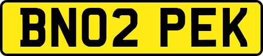 BN02PEK