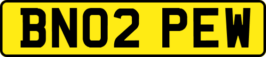 BN02PEW