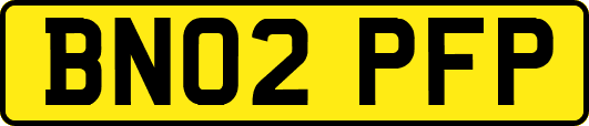 BN02PFP