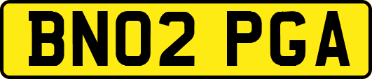 BN02PGA