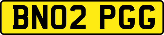 BN02PGG