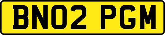 BN02PGM