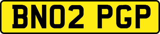 BN02PGP