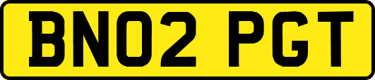 BN02PGT
