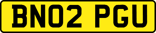 BN02PGU