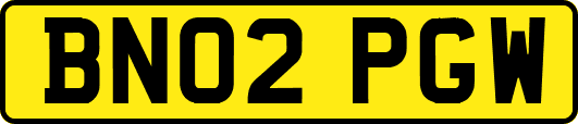 BN02PGW
