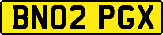 BN02PGX