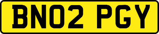 BN02PGY