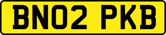 BN02PKB