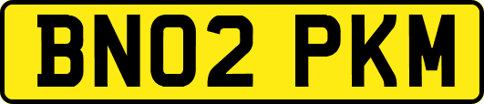 BN02PKM