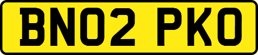 BN02PKO