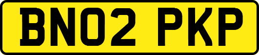 BN02PKP