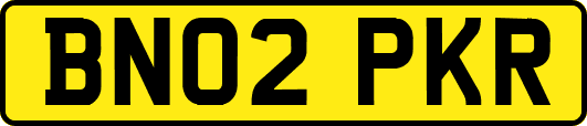 BN02PKR