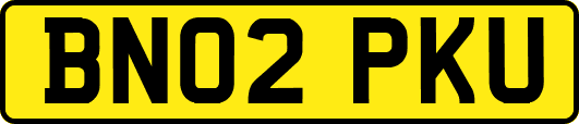 BN02PKU