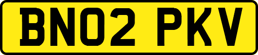BN02PKV