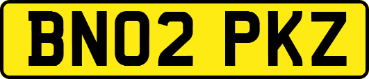 BN02PKZ