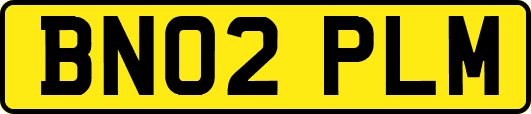 BN02PLM