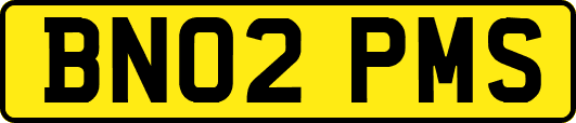 BN02PMS