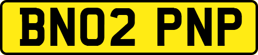 BN02PNP