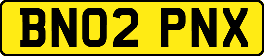 BN02PNX
