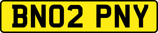 BN02PNY