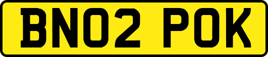 BN02POK