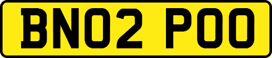 BN02POO