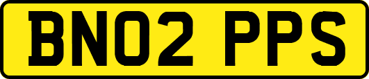 BN02PPS